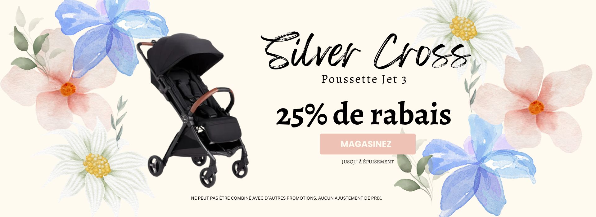 SILVER CROSS JET