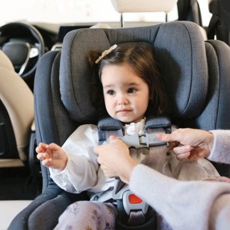 UPPAbaby - Siège auto convertible Rove - Greyson