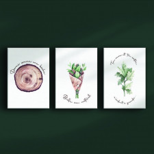 Patlin - Decorative Frames - Forest Trip