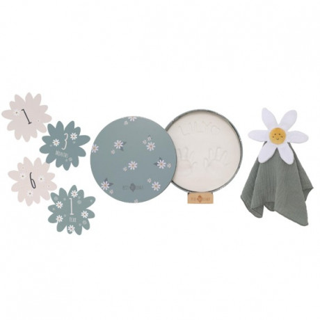 Petit Artichaut - Coffret naissance Petit Artichaut - Coffret naissance