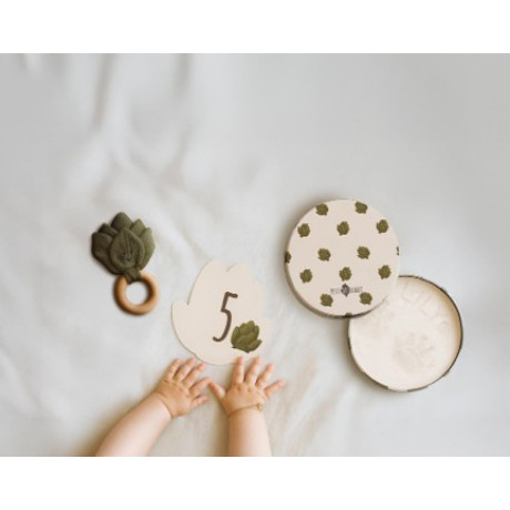 Petit Artichaut - Coffret naissance Petit Artichaut - Coffret naissance