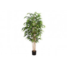 Monarque - Plante artificielle - 83``H / Bambou d'intérieur dans un pot de 8``